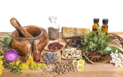 La-Naturopathie-chez-SSK