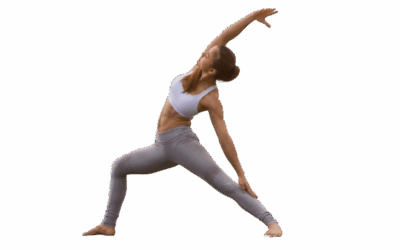 Yoga et Kinésithérapie multi modules
