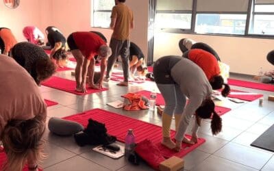 Yoga thérapeutique formation