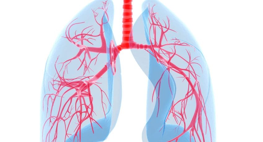 Kinésithérapie Respiratoire et Bruits Respiratoires (19-21 septembre 2023) Lyon (Géré par FKNL)