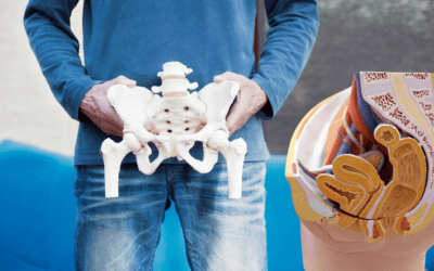 Formation Rééducation de la sphère anorectale, en pelvi périnéologie