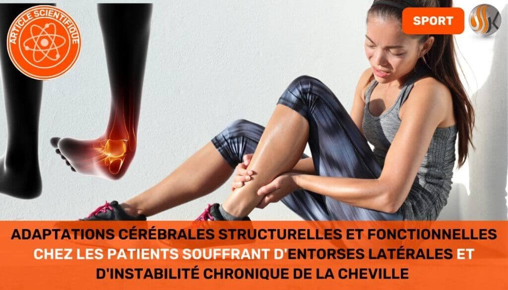 Adaptations cérébrales structurelles et fonctionnelles chez les patients souffrant d'entorses latérales de la cheville et d'instabilité chronique de la cheville Une revue systématique