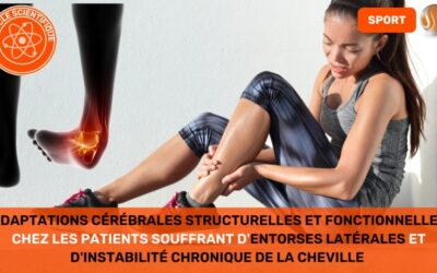 Adaptations cérébrales structurelles et fonctionnelles chez les patients souffrant d'entorses latérales de la cheville et d'instabilité chronique de la cheville Une revue systématique