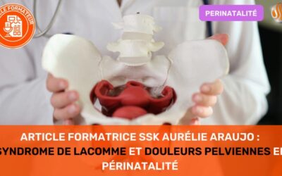 Article Formatrice SSK Aurélie Araujo Syndrome de Lacomme et douleurs pelviennes en périnatalité 