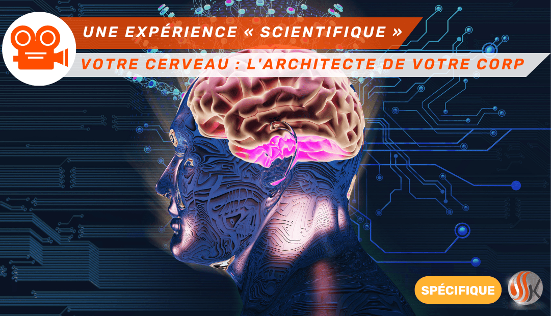 Votre Cerveau : L'Architecte de Votre Corps – Découverte Kinésithérapie ...