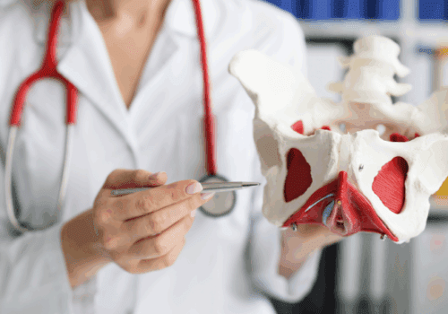 Formation E-learning – Renforcement abdominal et santé du périnée (Nouvelle Formation)