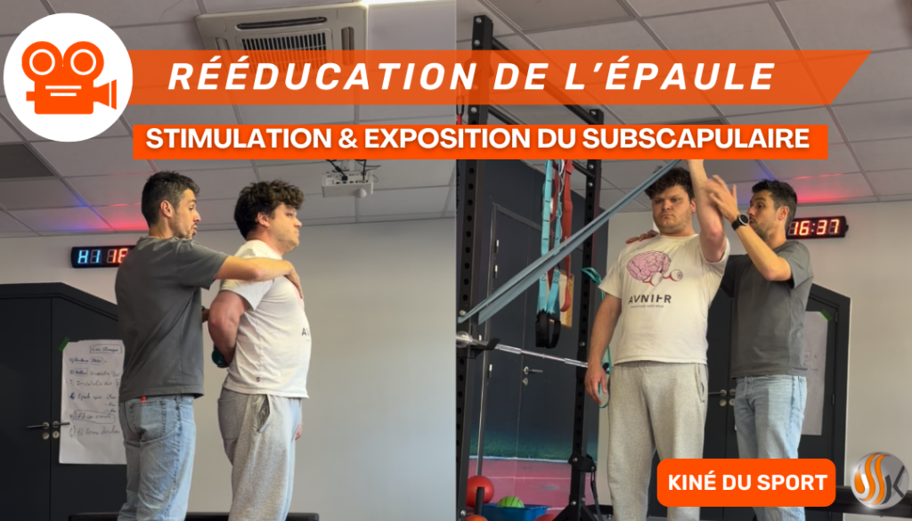 Épaule du Sportif 2 Exercices Clés pour Maîtriser le nSubscapulaire et Vaincre l’Appréhension