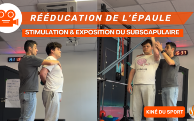 Épaule du Sportif 2 Exercices Clés pour Maîtriser le nSubscapulaire et Vaincre l’Appréhension