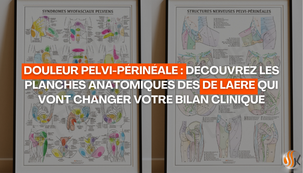 Douleur pelvi-périnéale découvrez les planches anatomiques des De Laere qui vont changer votre bilan clinique