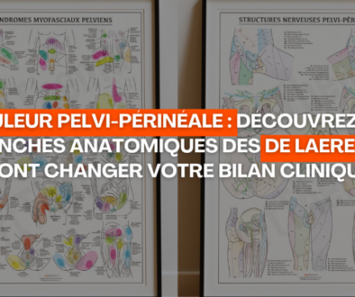 Douleur pelvi-périnéale découvrez les planches anatomiques des De Laere qui vont changer votre bilan clinique