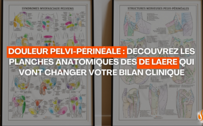 Douleur pelvi-périnéale découvrez les planches anatomiques des De Laere qui vont changer votre bilan clinique