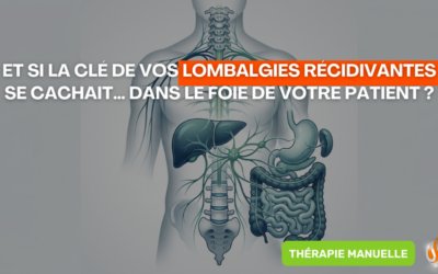 Et si la clé de vos lombalgies récidivantes se cachait… dans le foie de votre patient
