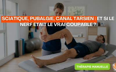 Sciatique, Pubalgie, Canal Tarsien Et Si Le Nerf Était Le Vrai Coupable